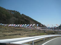 IMG_3237_R.JPG