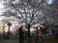 IMG_3242_R.JPG