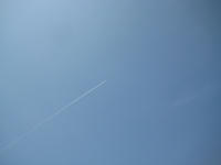 IMG_3389_R.JPG