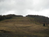 IMG_3519_R.JPG