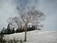 IMG_3698_R.JPG
