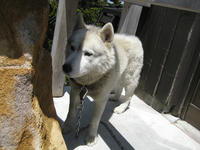 IMG_3717_R.JPG
