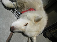 IMG_3721_R.JPG