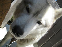 IMG_3719_R.JPG