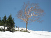 IMG_3726_R.JPG