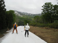 IMG_3793_R.JPG
