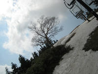 IMG_3930_R.JPG