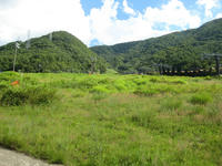 IMG_4758_R.JPG