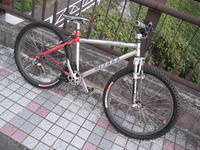 cf386256.jpeg