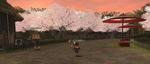 cherry.jpg