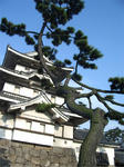 takamatsu1.jpg