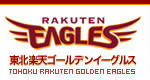 rakutenn.jpg
