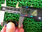 DSCN3969_184.jpg