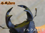 zero77.jpg