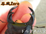 zero777.jpg