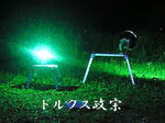 image.jpg