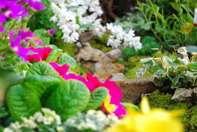 DSC_0027.jpg