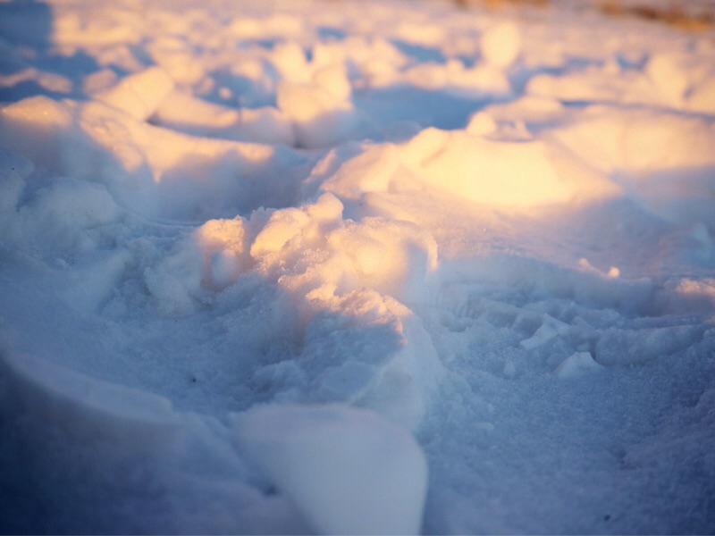 夕陽に照らされる雪