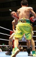 mitanni-komake.jpg