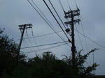 P9180027.JPG
