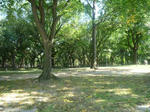 P1010234.jpg