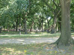 P1010235.jpg