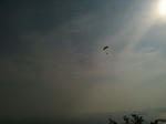 IMG_0838.jpg
