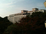 IMG_0842.jpg