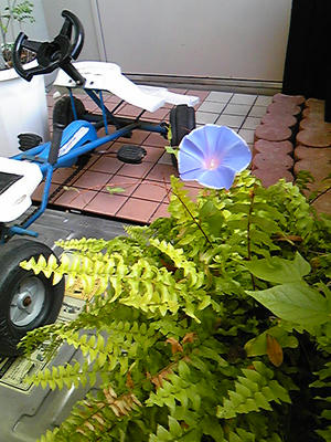 100922_083210.jpg