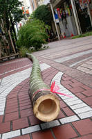 DSC00938.JPG