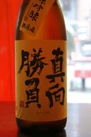 DSC00979.JPG