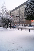 DSC01383.JPG