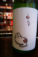 DSC01556.JPG