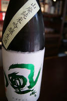DSC01567.JPG