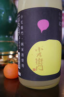 DSC01629.JPG