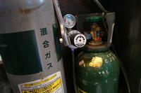DSC01698.JPG