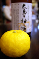 DSC01732.JPG