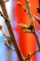 DSC01777.JPG