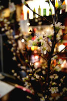 DSC01785.JPG