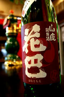 DSC01873.JPG