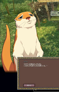 02.jpg