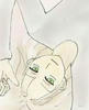 ポー