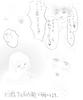 ３