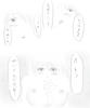 ４