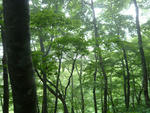 e062e176.jpg