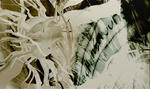WS000202.JPG
