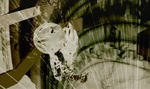 WS000203.JPG