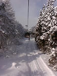 20080127090251.jpg