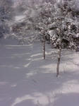 20080127090523.jpg