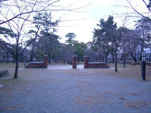 010.jpg